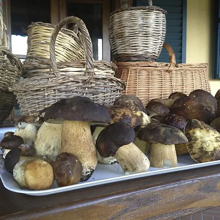 Alloggio per agriturismo Bike Podere Giarlinga