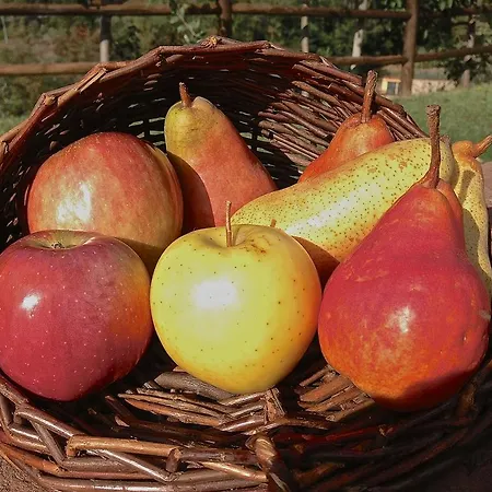 Gospodarstwo agroturystyczne Bike Podere Giarlinga