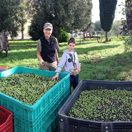 Bike Podere Giarlinga Farm stay