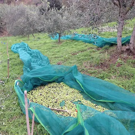 Bike Podere Giarlinga
