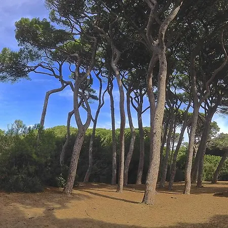 Bike Podere Giarlinga * Massa Marittima